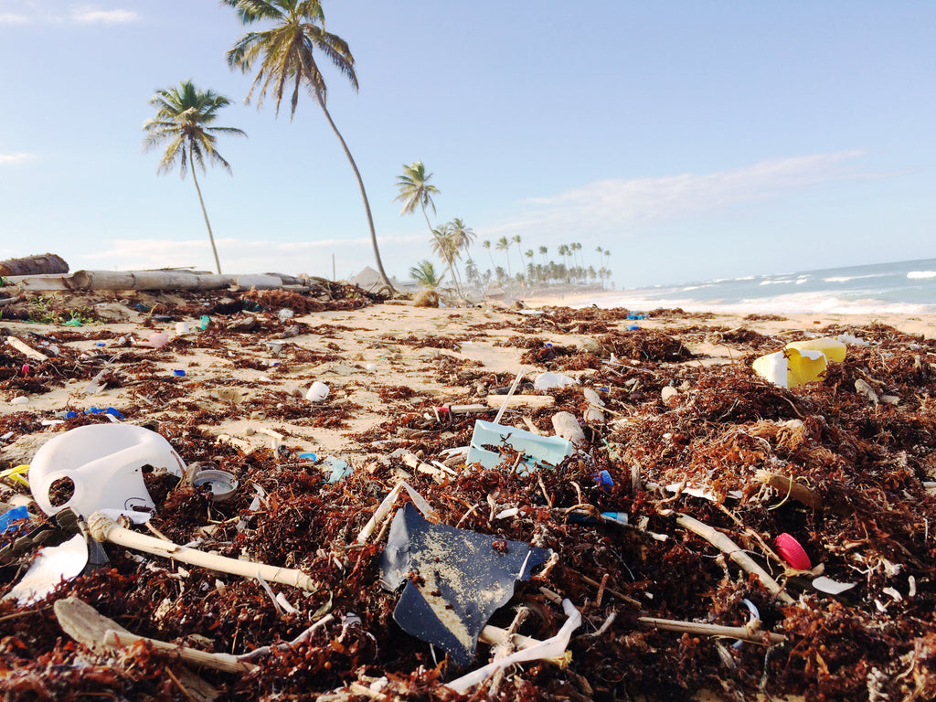 Beach pollution punta cana by Dustan Woodhouse