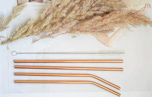 Rose Gold Stainless Steel Straws // set of 4